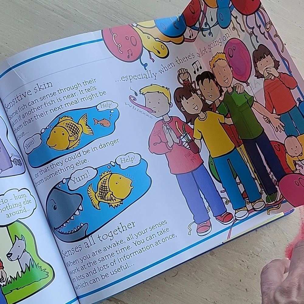 The Usborne Flip-Flap Body Book - Picture 9 of 11